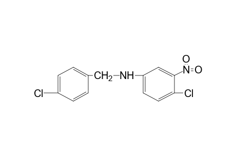 p-chloro-N-(4-chloro-3-nitrophenyl)benzylamine