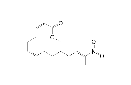 METHYL-(2Z,6Z,12E)-13-NITROTETRADECA-2,6,12-TRIENOATE