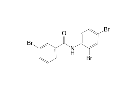 3-bromo-N-(2,4-dibromophenyl)benzamide