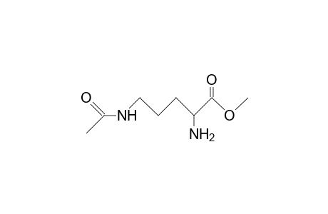 N-Acetyl-ornithine methyl ester