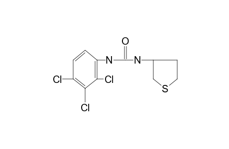 1-(tetrahydro-3-thienyl)-3-(2,3,4-trichlorophenyl)urea