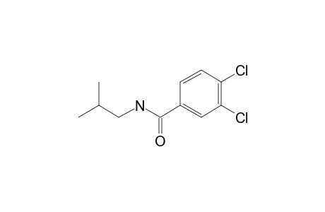 3,4-dichloro-N-isobutylbenzamide