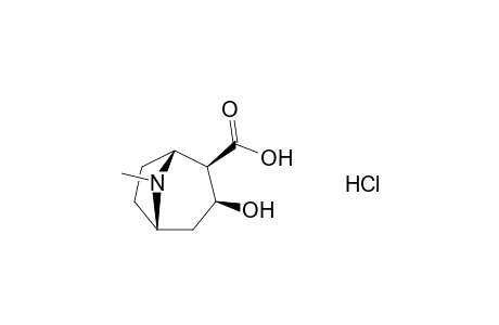 Ecgonine HCl