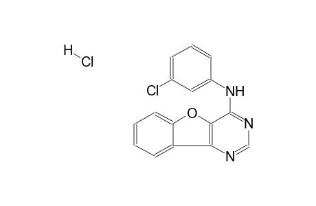 N-(3-chlorophenyl)benzofuro[3,2-d]pyrimidin-4-amine hydrochloride