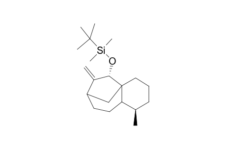 trans-2-(t-butyldimethylsiloxy)-3-methylene-8-methyltricyclo[5.4.0.1(1,4)]dodecane