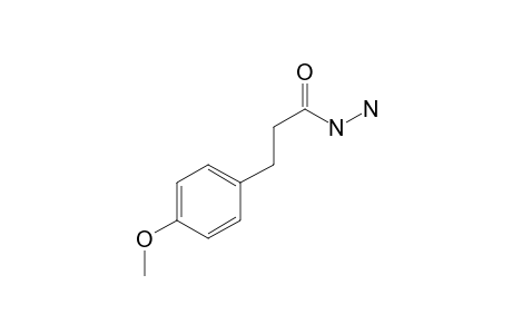 3-(4-Methoxyphenyl)propanohydrazide