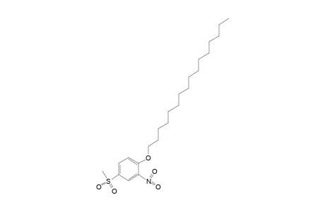 hexadecyl 4-(methylsulfonyl)-2-nitrophenyl ether