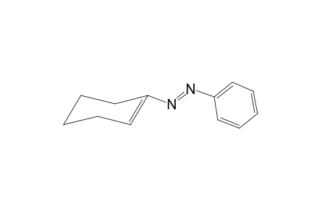 s-trans-(E)-1-(phenylazo)cyclohexene