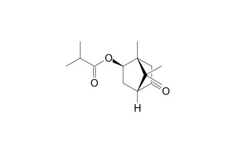 Isobornyl isobutanoate <5-oxy->