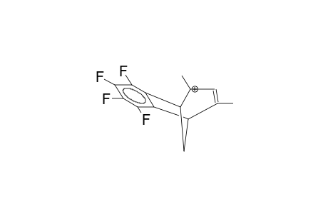 2,4-DIMETHYL-6,7-TETRAFLUOROBENZOBICYCLO[3.2.1]OCTA-2,7-DIEN-2-YLCATION