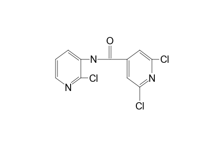 N-(2-chloro-3-pyridyl)-2,6-dichloroisonicotinamide
