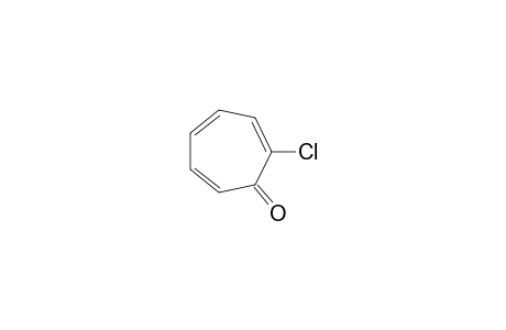 2-chloro-2,4,6-cycloheptatrien-1-one
