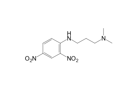 N,N-dimethyl-N'-(2,4-dinitrophenyl)-1,3-propanediamine