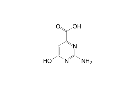 2-AMINO-6-HYDROXY-4-PYRIMIDINECARBOXYLIC ACID