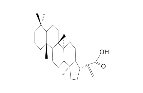 HOPAN ; TUBEROSIC ACID ; HOP-22(29)-EN-30-OIC ACID