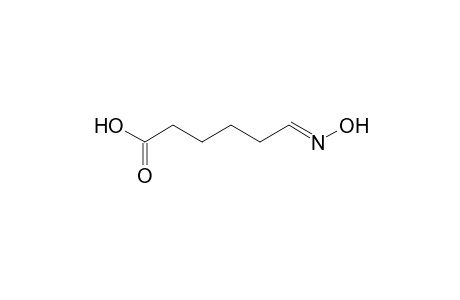 6-(Hydroxyimino)hexanoic acid