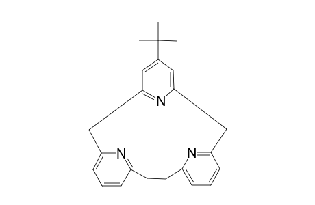 12-TERT.-BUTYL-[2.1.1]-(2,6)-PYRIDINOPHANE