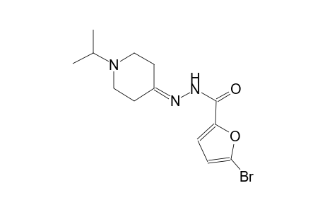 5-bromo-N'-(1-isopropyl-4-piperidinylidene)-2-furohydrazide