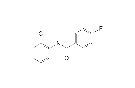 N-(2-Chlorophenyl)-4-fluorobenzamide