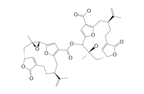 MAYOTOLIDE_B