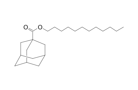 1-Adamantanecarboxylic acid, dodecyl ester