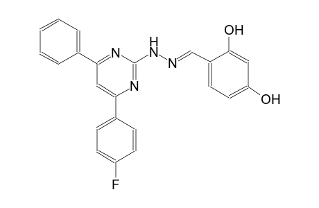 2,4-dihydroxybenzaldehyde [4-(4-fluorophenyl)-6-phenyl-2-pyrimidinyl]hydrazone