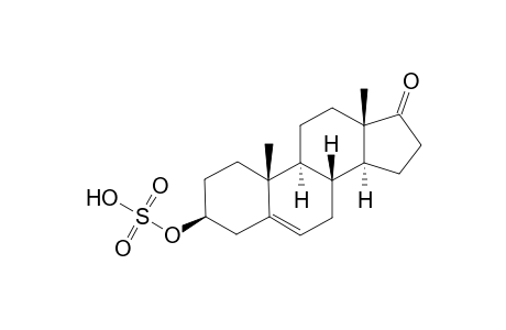 Prasterone-3-sulfate