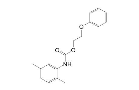 2,5-dimethylcarbanilic acid, 2-phenoxyethyl ester