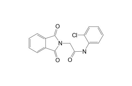 2-[1,3-bis(oxidanylidene)isoindol-2-yl]-N-(2-chlorophenyl)ethanamide