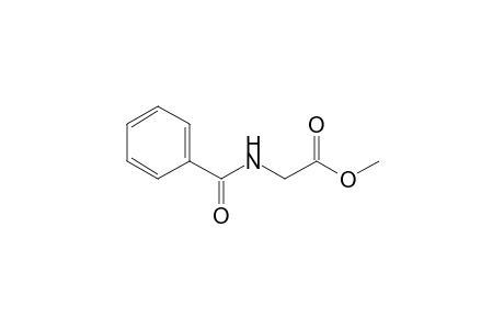 Hippuric acid methyl ester