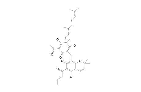 YUNGENSIN_F;2-{[5,7-DIHYDROXY-2,2-DIMETHYL-6-BUTANOYL-8-CHROMENYL]-METHYL}-3,5-DIHYDROXY-4-METHYL-4-(3,7-DIMETHYL-2,6-OCTADIENYL)-6-