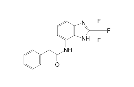 2-Phenyl-N-[2-(trifluoromethyl)-1H-benzimidazol-7-yl]acetamide