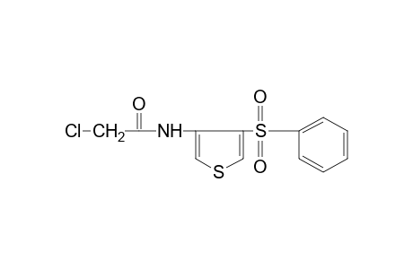 2-chloro-N-[4-(phenylsulfonyl)-3-thienyl]acetamide