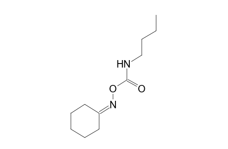 cyclohexanone, O-(butylcarbamoyl)oxime