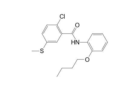 N-(2-Butoxy-phenyl)-2-chloro-5-methylsulfanyl-benzamide