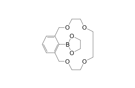 18-(1,3,2-Dioxaborolan-2-yl)-3,6,9,12-tetraoxabicyclo[12.3.1]octadeca-1(18),14,16-triene