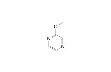 2-Methoxypyrazine