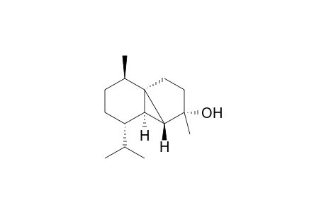 CUBEBOL;(1R,4S,5R,6R,7S,10R)-7-ISOPROPYL-4,10-DIMETHYL-TRICYCLO-[4.4.0.0(1,5)]-DECAN-4-OL