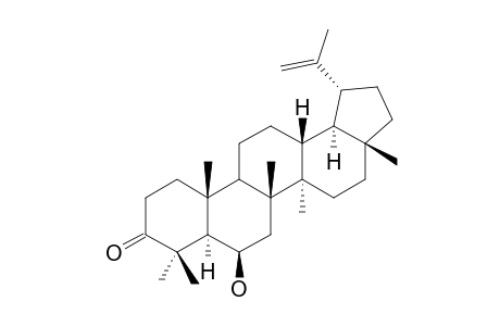 6-BETA-HYDROXY-LUP-20(30)-EN-3-ONE