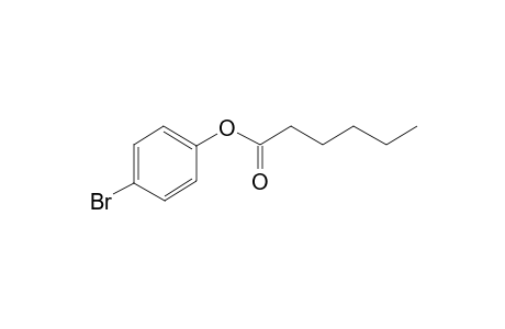 Hexanoic acid, 4-bromophenyl ester