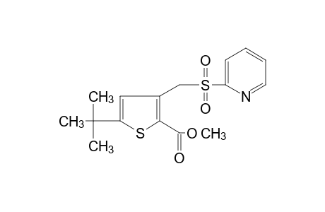 5-tert-butyl-3-{[(2-pyridyl)sulfonyl]methyl}-2-thiophenecarboxylic acid, methyl ester