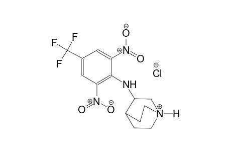 3-[2,6-dinitro-4-(trifluoromethyl)anilino]-1-azoniabicyclo[2.2.2]octane chloride