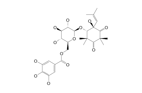 GALLOMYRTUCOMMULONE_D