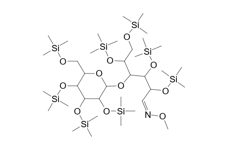 D-Lactose, octakis(trimethylsilyl) ether, methyloxime (isomer 1)