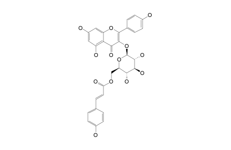 TILIROSIDE;KAEMPFEROL-3-O-BETA-D-[6''-(E)-PARA-COUMAROYL]-GLUCOPYRANOSIDE