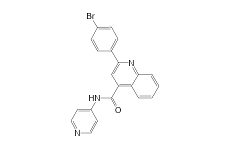 2-(4-bromophenyl)-N-(4-pyridinyl)-4-quinolinecarboxamide