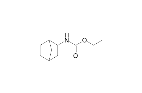 2-norbornanecarbamic acid, ethyl ester