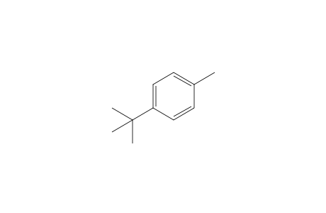 p-tert-BUTYLTOLUENE