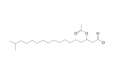 Heptadecanoic acid, 3-(acetyloxy)-16-methyl-