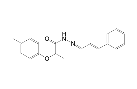 propanoic acid, 2-(4-methylphenoxy)-, 2-[(E,2E)-3-phenyl-2-propenylidene]hydrazide